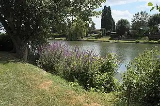 Image illustrative de l’article Île de Juziers