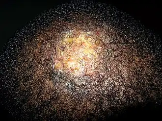 Description de cette image, également commentée ci-après