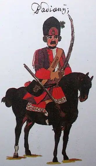 Reiter, Husaren und Grenadiere: Die Uniformen der Kaiserlichen Armee am Rhein 1734 Manuscrit de Philipp Franz Freiherrn von Gudenus (1710-1783).