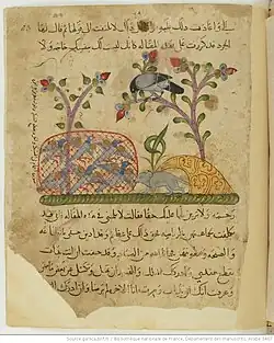 Kalila et Dimna : « La colombe au collier »