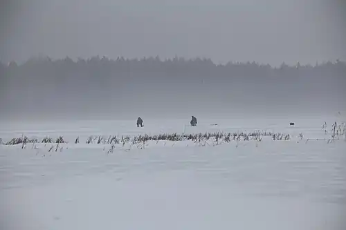 Patineurs sur glace