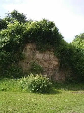 Image illustrative de l’article Formation de Maastricht