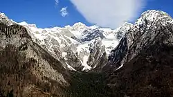 Vue de l'amont du val Kamniška Bistrica.