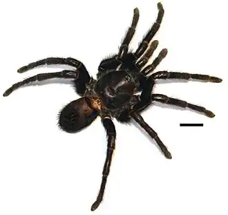 Description de cette image, également commentée ci-après