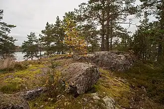 Colline fortifiée de Kuivaketvele.
