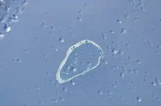 Image satellite de Kapingamarangi.