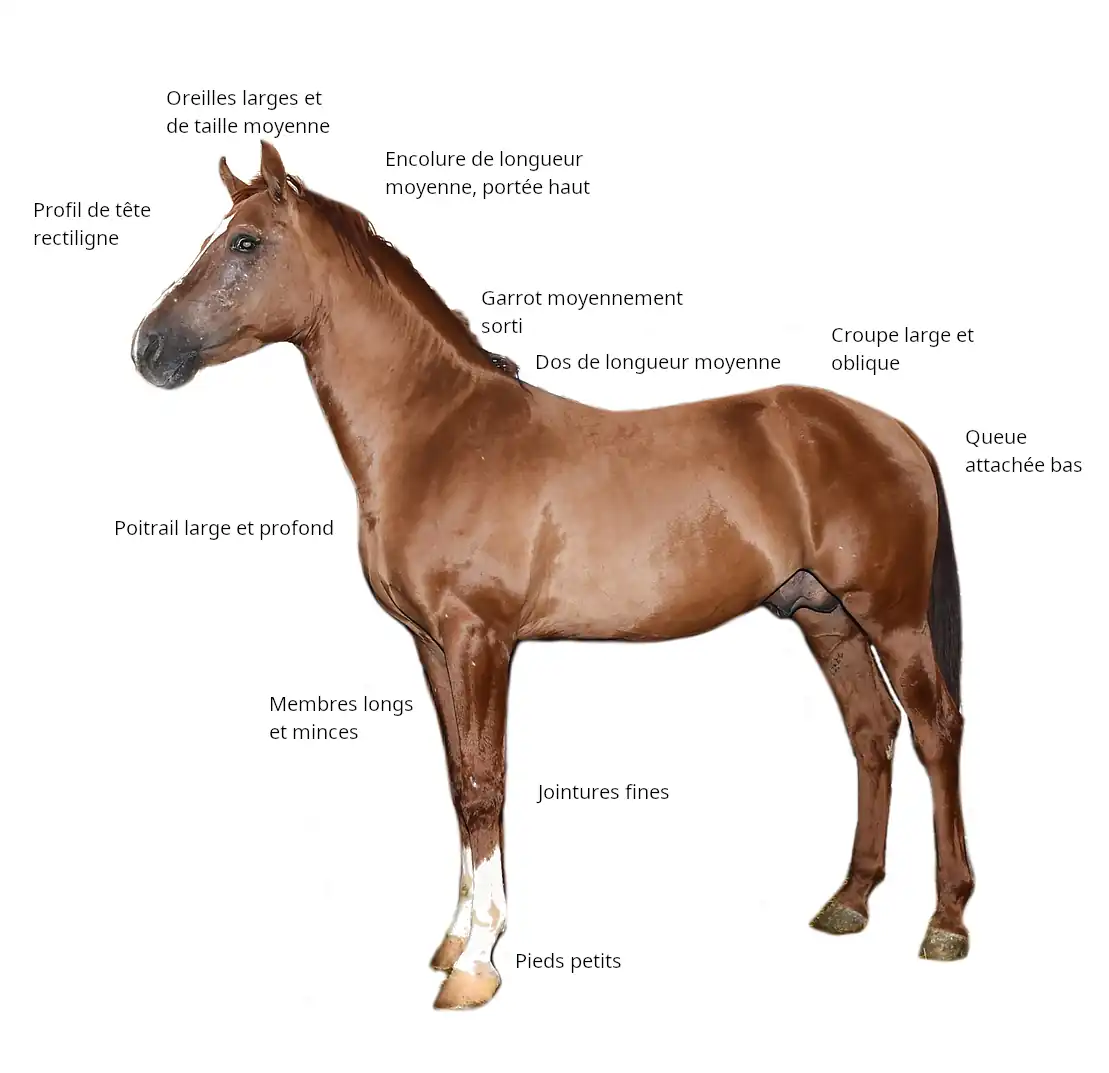 Morphologie du Karabakh.