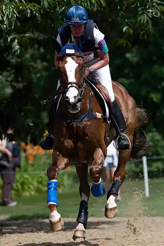 Image illustrative de l’article Karen O'Connor