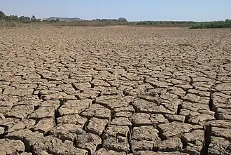 Boue du Nil argileuse dans le bassin inondé annuellement au bord du Nil près de Karima.