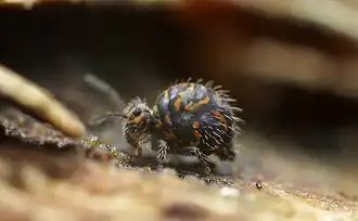 Description de cette image, également commentée ci-après