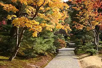 Petits galets jointifs.