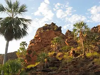 Description de cette image, également commentée ci-après