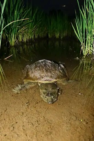 Description de l'image Keep moving on.jpg.