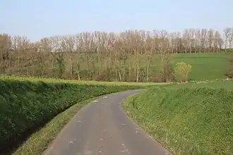 Image illustrative de l’article Keiweg-Leberg