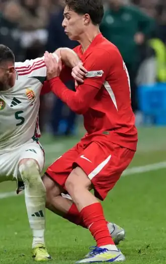 Image illustrative de l’article Kenan Yıldız