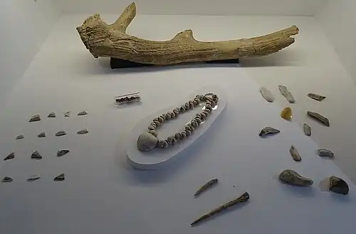 Objets archéologiques provenant de Téviec et Port-Neuf (Hoëdic) (près du plateau des Birvideaux submergé par la mer depuis la Préhistoire) ː en haut de la photographie bois de cerf, au centre collier, en bas poinçons en os de sanglier [exposition "Cités englouties", manoir de Kernault, 2024].