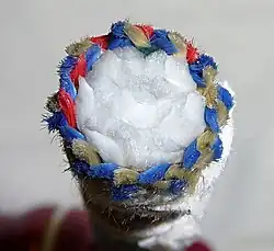 Vue en coupe d'une corde d'escalade moderne. L'âme et la gaîne de la corde sont visible.