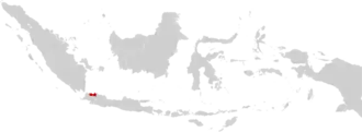 Image illustrative de l’article Archidiocèse de Jakarta