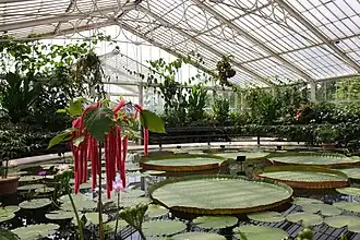 Vue d'ensemble de la serre