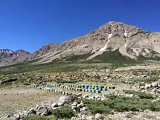 Vue du massif de Keyno avec son point culminant.
