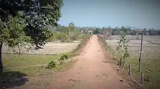 Sur la piste des éléphants...