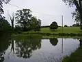 Etang.