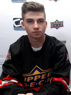 Description de l'image Kirby Dach.png.