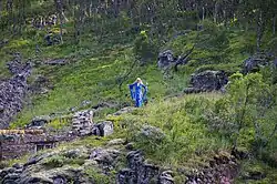 Huldra près de la cascade.