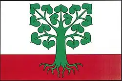 Drapeau de Klokočov