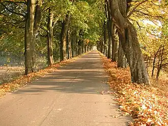 Grądy (Poméranie-Occidentale)