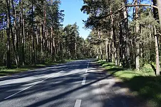 Image illustrative de l’article Kloostrimetsa tee