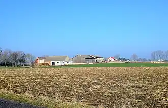 Kokoszki (Grande-Pologne)