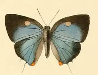 Description de cette image, également commentée ci-après