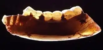 Description de cette image, également commentée ci-après