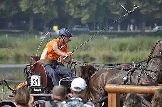 Image illustrative de l’article Koos de Ronde