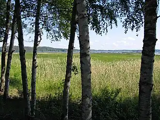 Le lac Kortejärvi à Urjala.