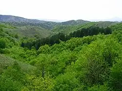 Un paysage boisé et montagneux.
