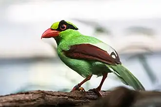 Description de cette image, également commentée ci-après