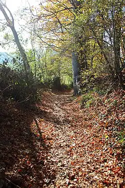 Le GR VA dans le Kuitholbos&nbsp;(nl)