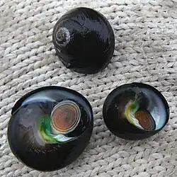 Chlorostoma xanthostigma.