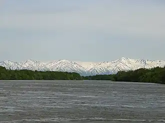 Le fleuve Kamtchatka avec le Koumrotch en arrière-plan.