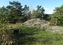 La falaise Kungsklippan.