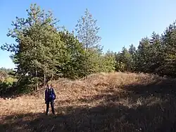 Kourgan proche de Vassivchtcheve, classé.