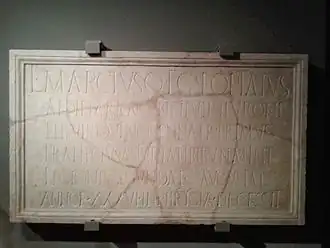 Image illustrative de l’article Iluro