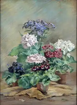 Nature-morte aux cinéraires, 1880-1930 (pastel sur papier ; Inv. musée de la Vie wallonne no&nbsp;MVW-5034427 ; 93&nbsp;×&nbsp;68&nbsp;cm), Liège, musée de la Vie wallonne.