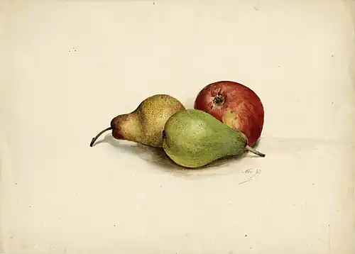Une pomme et deux poires, novembre 1880 (aquarelle sur papier en couleurs ; Inv. musée de la Vie wallonne no&nbsp;MVW-2299452 ; 30&nbsp;×&nbsp;42&nbsp;cm), Liège, musée de la Vie wallonne.