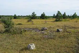 Un alvar sur l'île de Saaremaa.