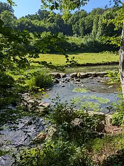 L'Eau Blanche dans le Bois de Blaimont