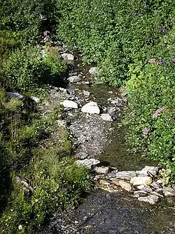 Dans les alpages du col de Balme.