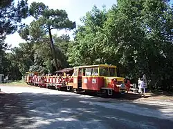 logo de Train touristique PGVS